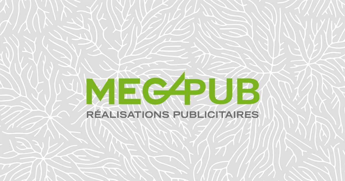 (c) Mega-pub.ch